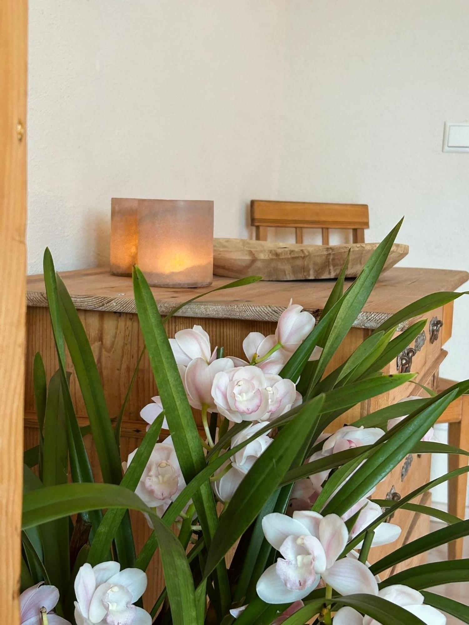 Apartament Heimat-Raum Bayersoien Zewnętrze zdjęcie